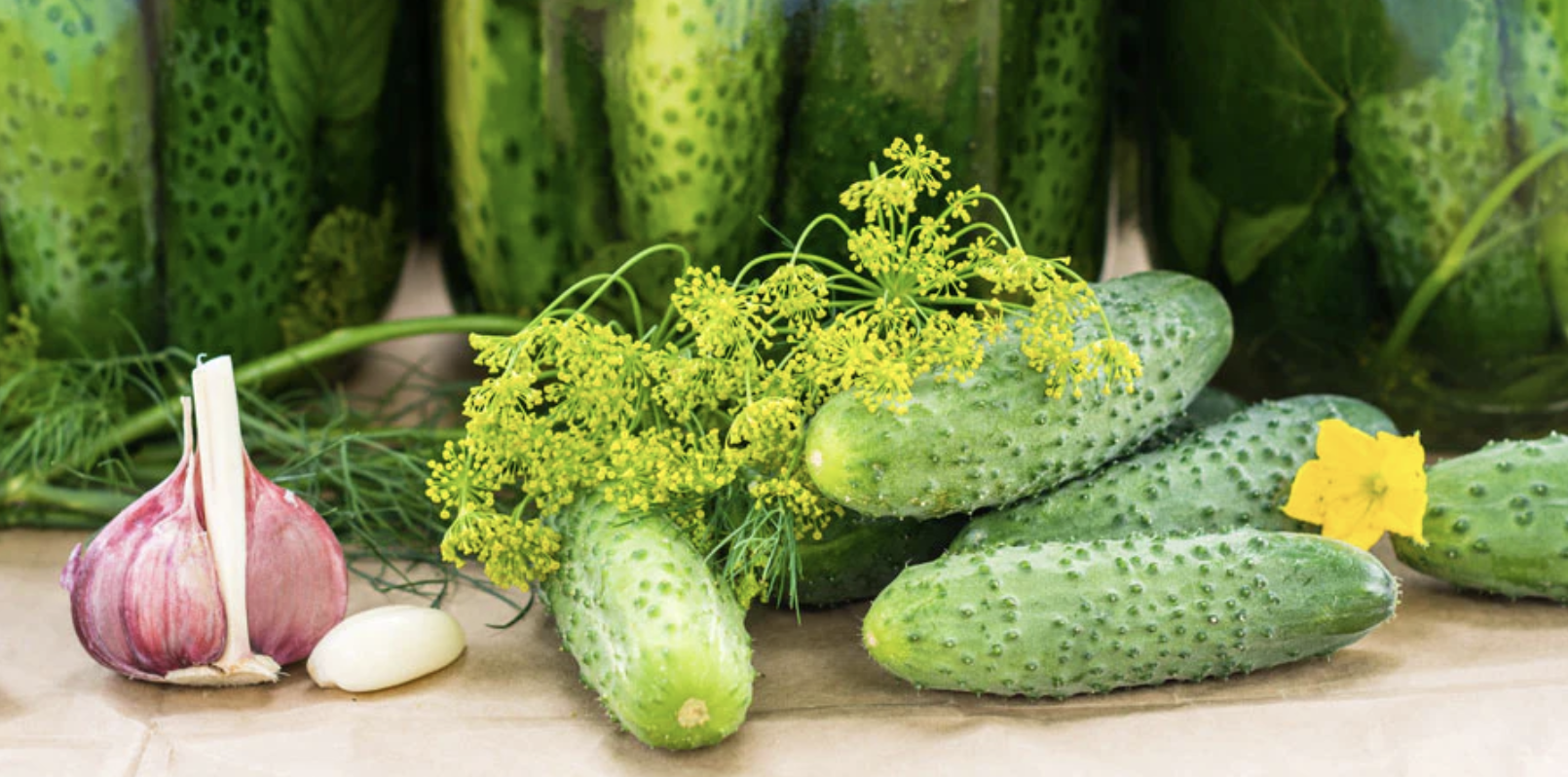 Fermented Pickles vs. Canned Pickles